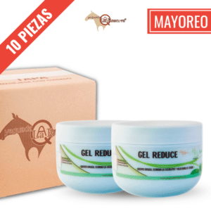 Producto