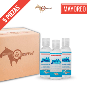 Producto