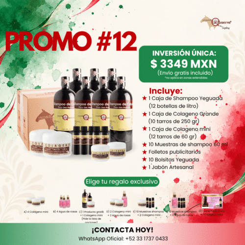 Promoción #12 - 1 Caja Shampoo Yeguada + 1 Caja Colageno Capilar Gde + 1 Caja Colageno Capilar mini