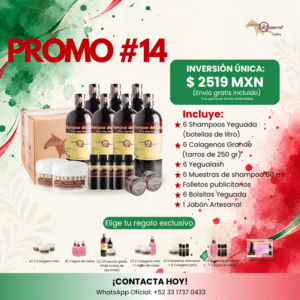 Producto
