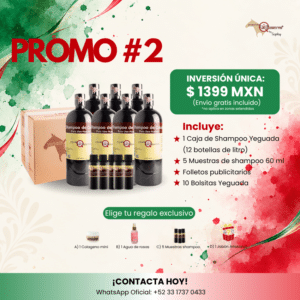 Producto