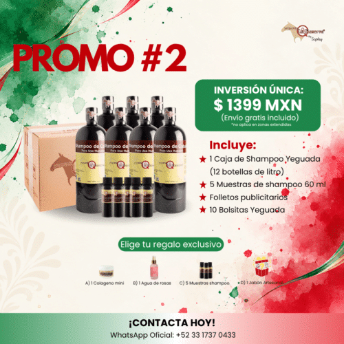 Promoción #2 - 1 Caja Shampoo Yeguada Economica