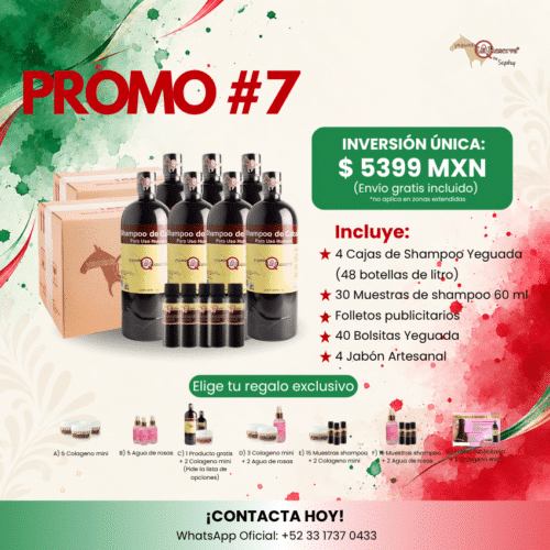Promoción #7 - 4 Cajas Shampoo Yeguada